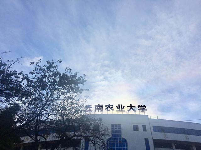 云南农业大学建筑工程学院校卓越工程师培养(图16)